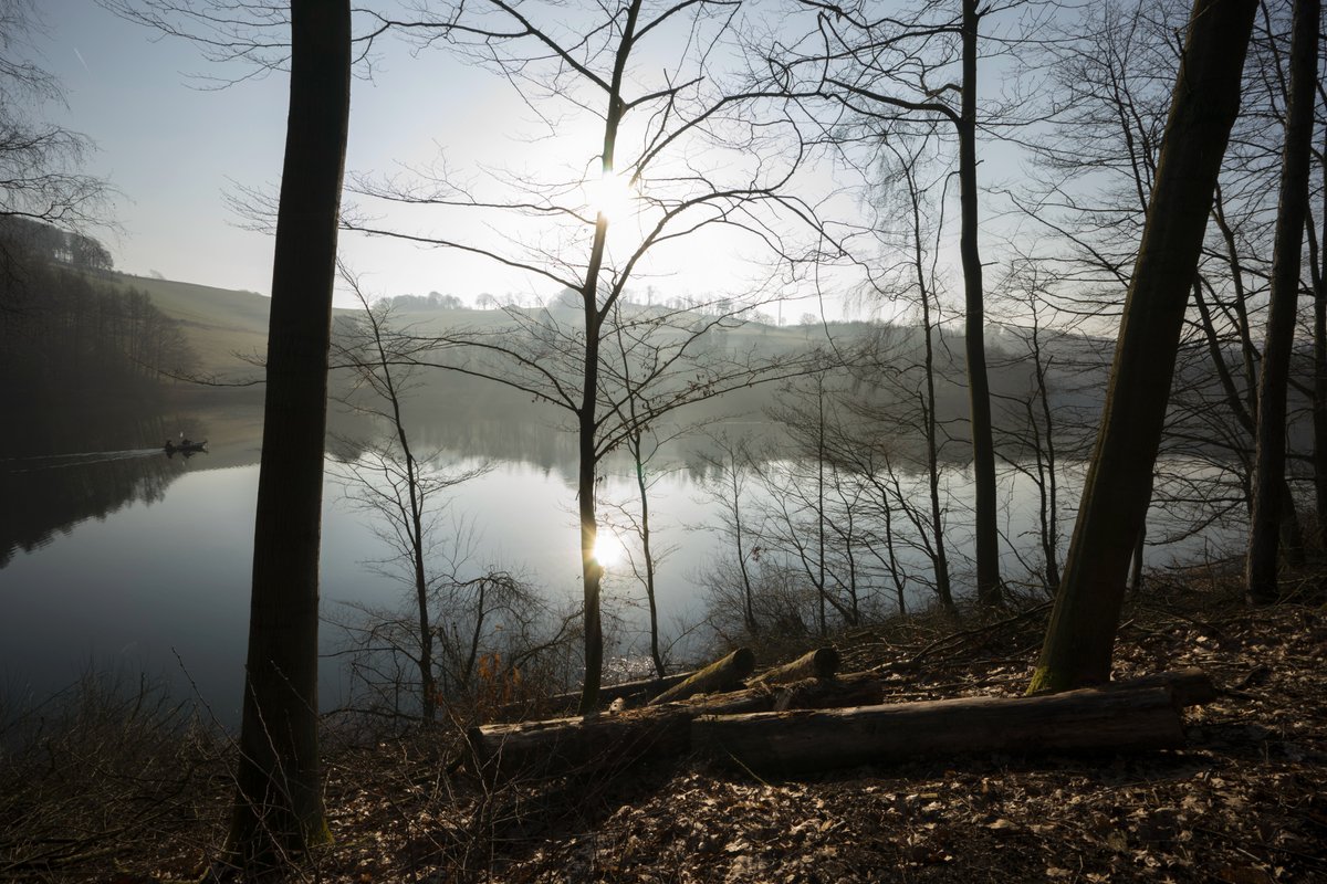 deinsauerland's tweet photo. Herbststimmung am #Hennesee bei #Meschede. #Entspannung pur und perfekt, um den Kopf frei zu bekommen.

Foto: Sauerland-Tourismus e.V. / Georg Hennecke https://t.co/dZ8RfRbTT2
