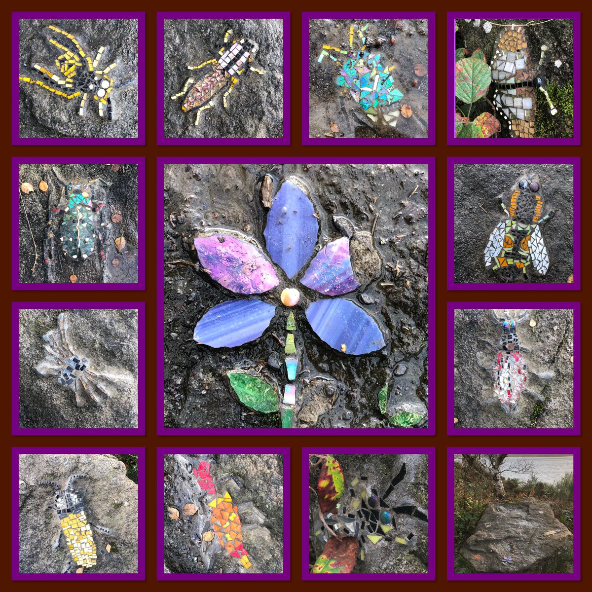 Penny4It's tweet photo. Lovely #invertibrate  #mosaic on a boulder besides the track between #Millshield picnic site and #PowHillCountryPark yesterday #northumbrianWater https://t.co/E4tQtXGclp