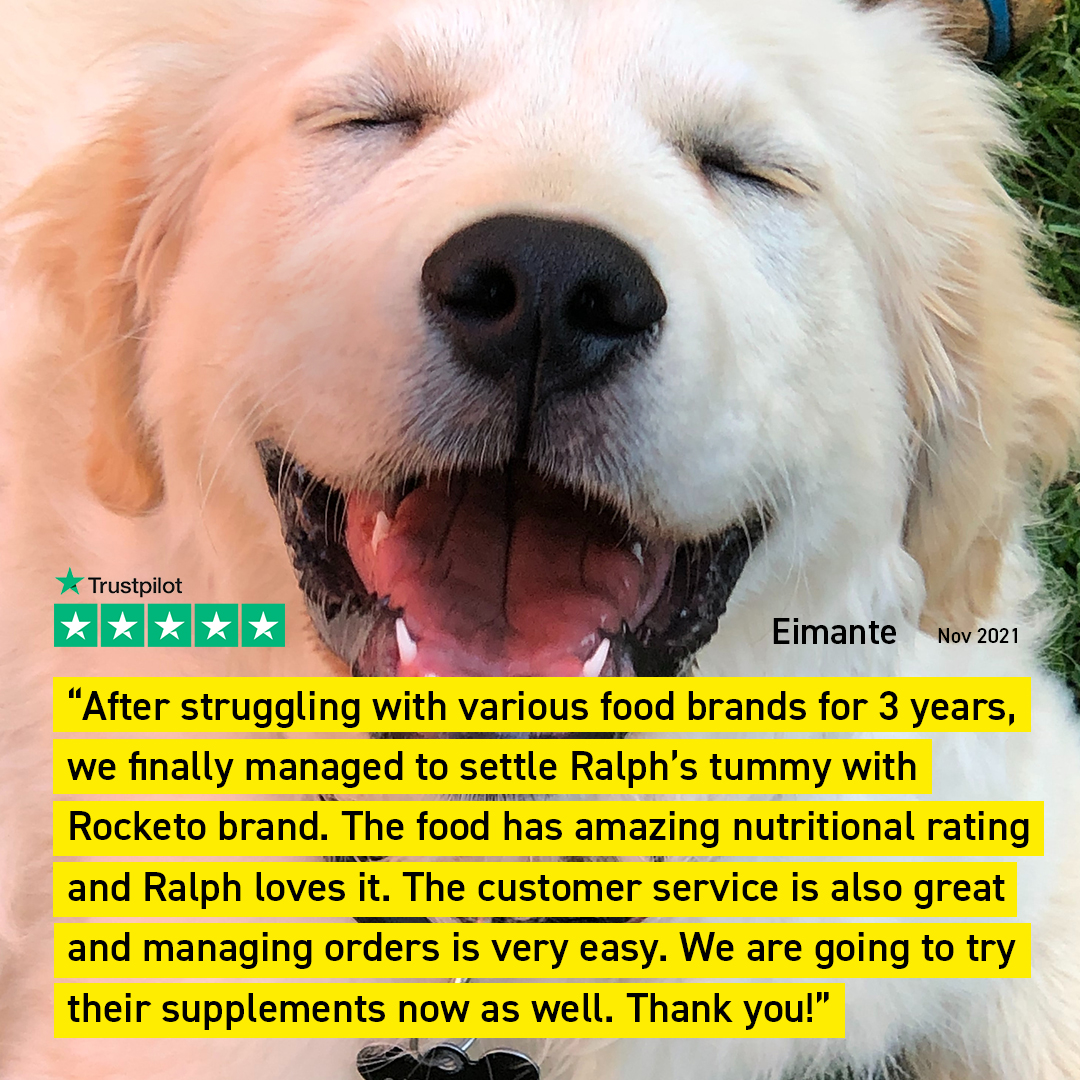 Another extremely happy Rocketeer taking the switch to all natural supplements and gut-friendly, raw complete nutrition. 🚀

Check our deals here →  gorocketo.com/black-friday-2… 

#rawdoguk #rawdogfood #organicdogfood
