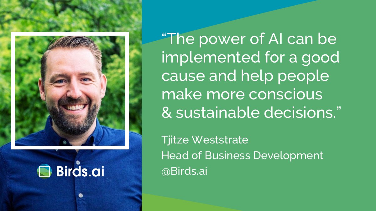 Birds.ai tweet media