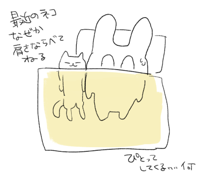 最近の猫です 