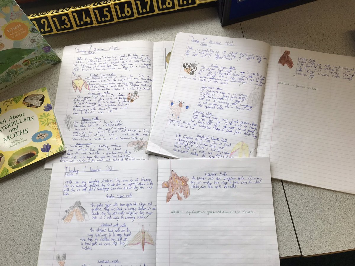 Mrs Witty-Crane and Magpie Class tweet media