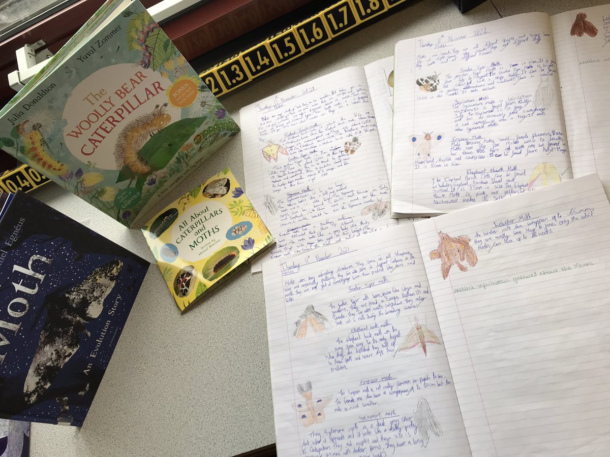 Mrs Witty-Crane and Magpie Class tweet media