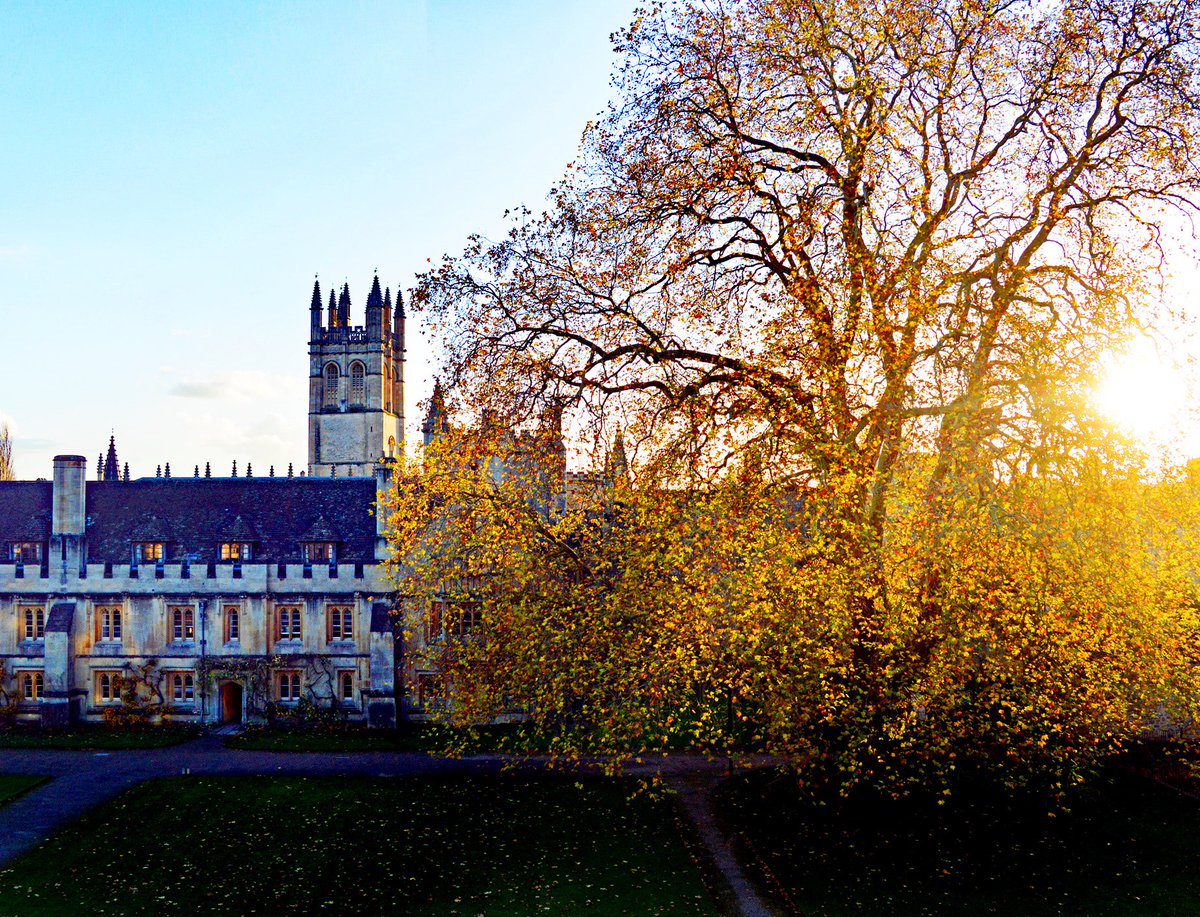 magdalenoxford tweet picture