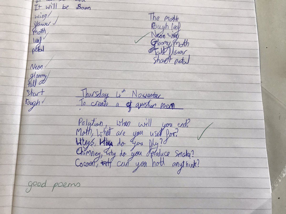 Mrs Witty-Crane and Magpie Class tweet media