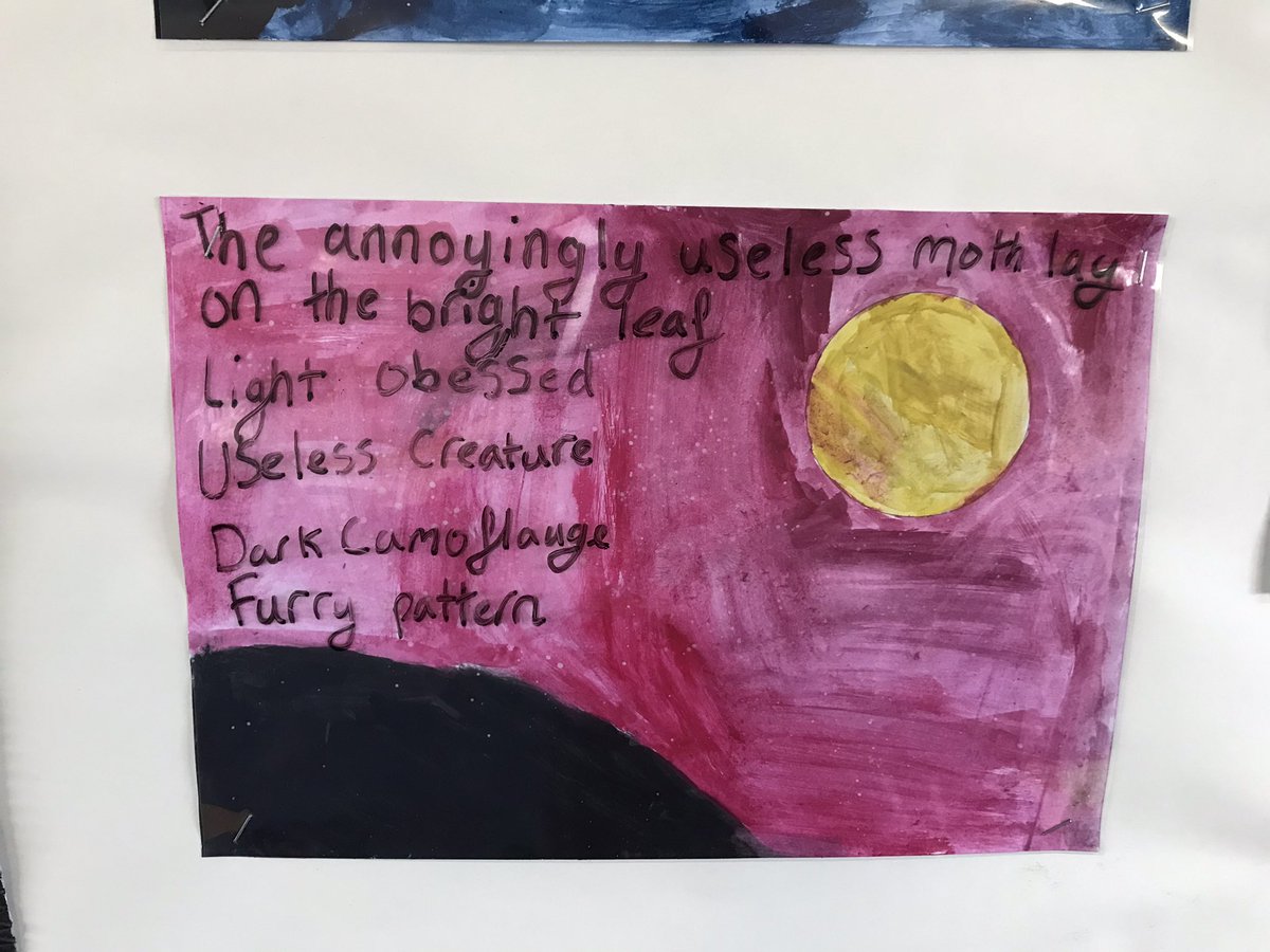 Mrs Witty-Crane and Magpie Class tweet media