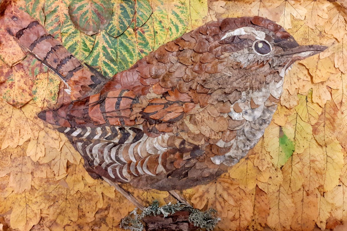 This little Wren took the longest time to make! Compostable Autumn Art made entirely from fallen leaves, seedheads, twigs and lichen😃🍂🍁🍂 <a href="/Natures_Voice/">RSPB</a> #NatureTwitterCommunity