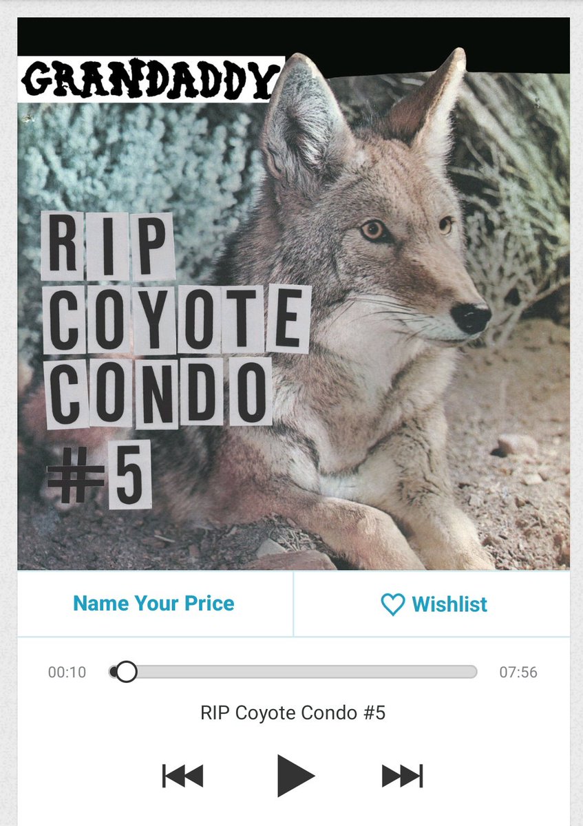 Listening to this track by <a href="/jasonlytle/">jason lytle</a> for the millionth time today. Join me. 

Listen here > 
grandaddy.bandcamp.com/track/rip-coyo…