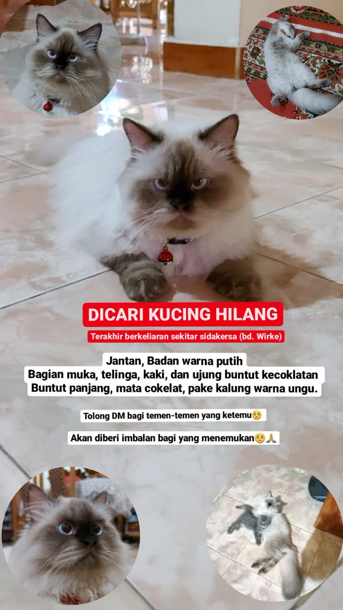 andresetiyawan6's tweet photo. Bagi yang melihat di daerah sidakersa dan sekitarnya dm ya / hub 082130221998. Terimakasih https://t.co/Je5z8KsaLR