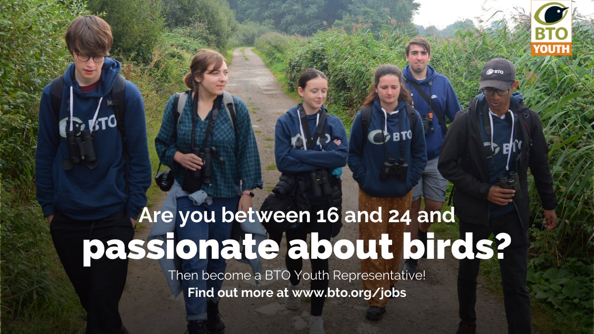 🚨 The deadline to apply to become #BTOYouth Representative is *THIS SUNDAY* Aged 16–24 and love nature? Get involved! More info 👉 bto.org/jobs