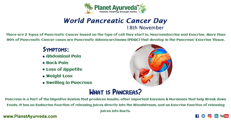 World #Pancreatic #Cancer Day - 18th November
#WorldPancreaticCancerDay #weightloss #appetite #PancreaticCancerDay #PancreaticCancer #PancreaticCancerAwareness #pancreas #PancreaticCancerSymptoms #18thnovember #planetayurveda @Atharvayurveda