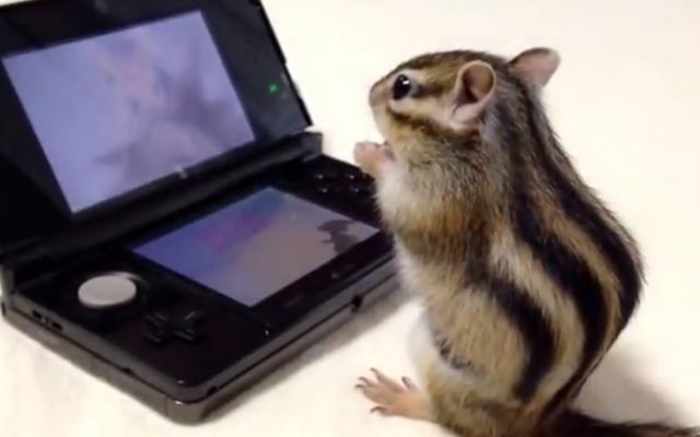 모니터링 다댬지