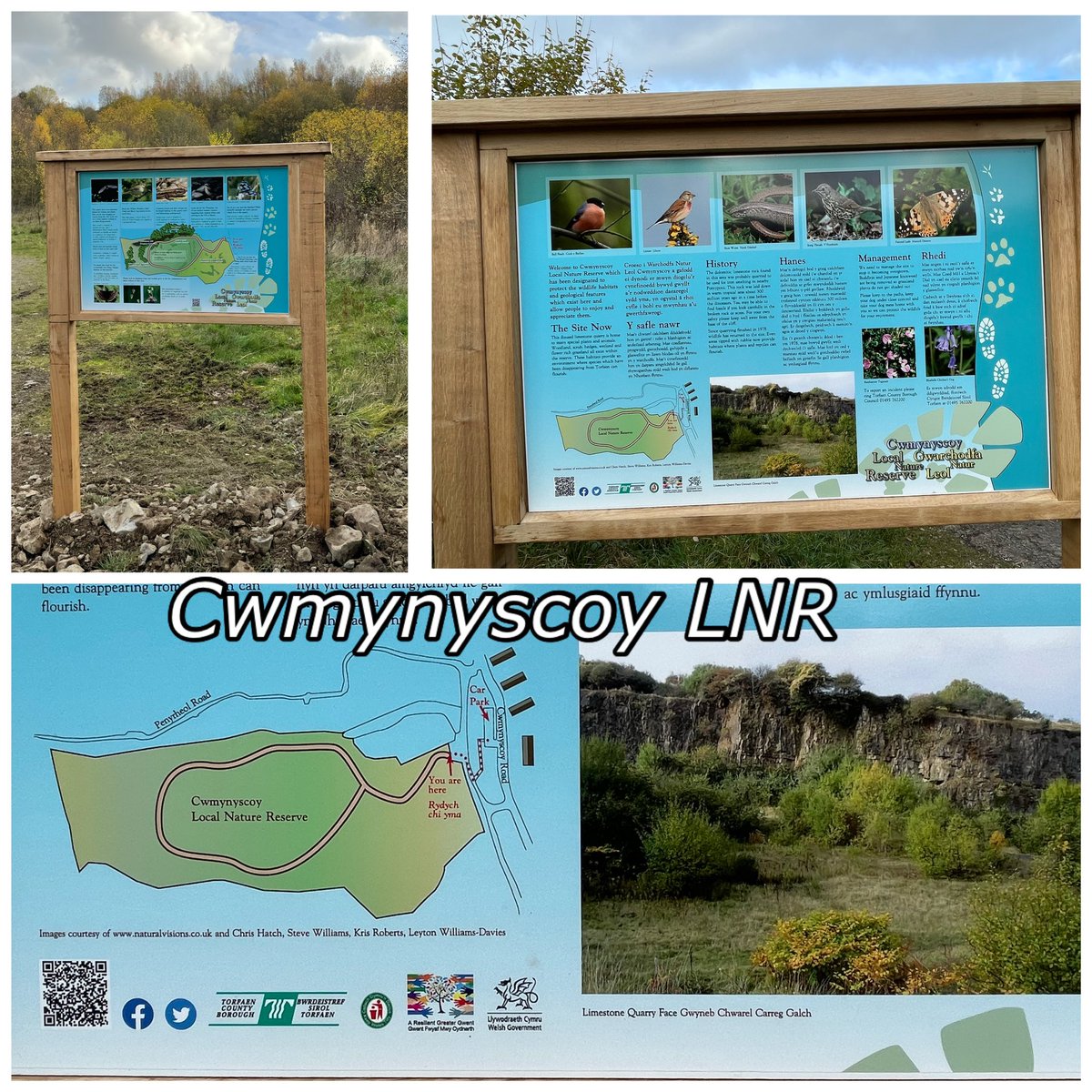 RachelDee5380's tweet photo. As part of #AResilientGreaterGwent #SustainableCommunities project we have renewed the interpretation boards at some of our #LocalNatureReserves. Helping communities discover the value of #Nature on their doorstep 🌳🍂🍁🙂 https://t.co/X4B1nqdKVj