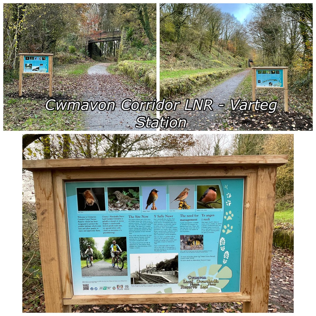 RachelDee5380's tweet photo. As part of #AResilientGreaterGwent #SustainableCommunities project we have renewed the interpretation boards at some of our #LocalNatureReserves. Helping communities discover the value of #Nature on their doorstep 🌳🍂🍁🙂 https://t.co/X4B1nqdKVj