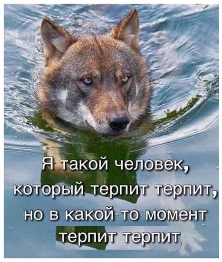 leuraly's tweet photo. @mckemov https://t.co/2ROzoLXYZa