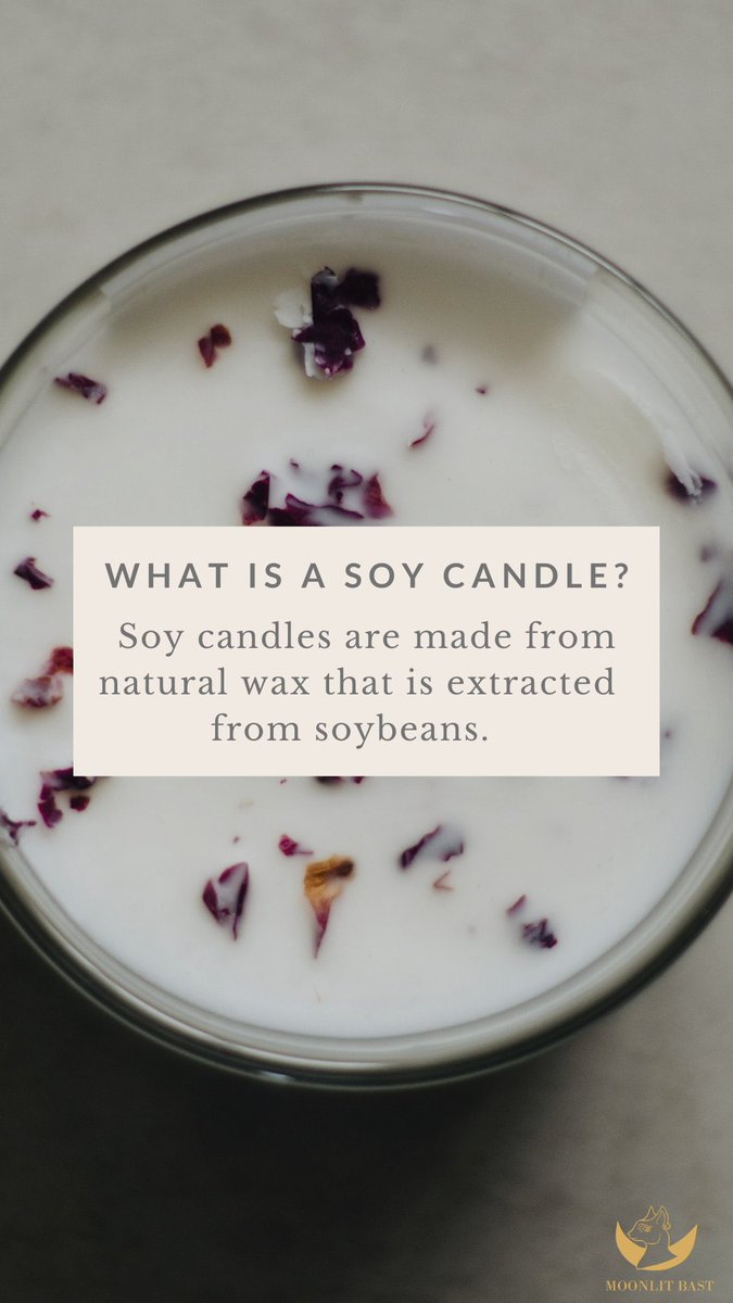 moonlitbast's tweet photo. Soy candle facts 🌙 https://t.co/LJ2LQv4Nid