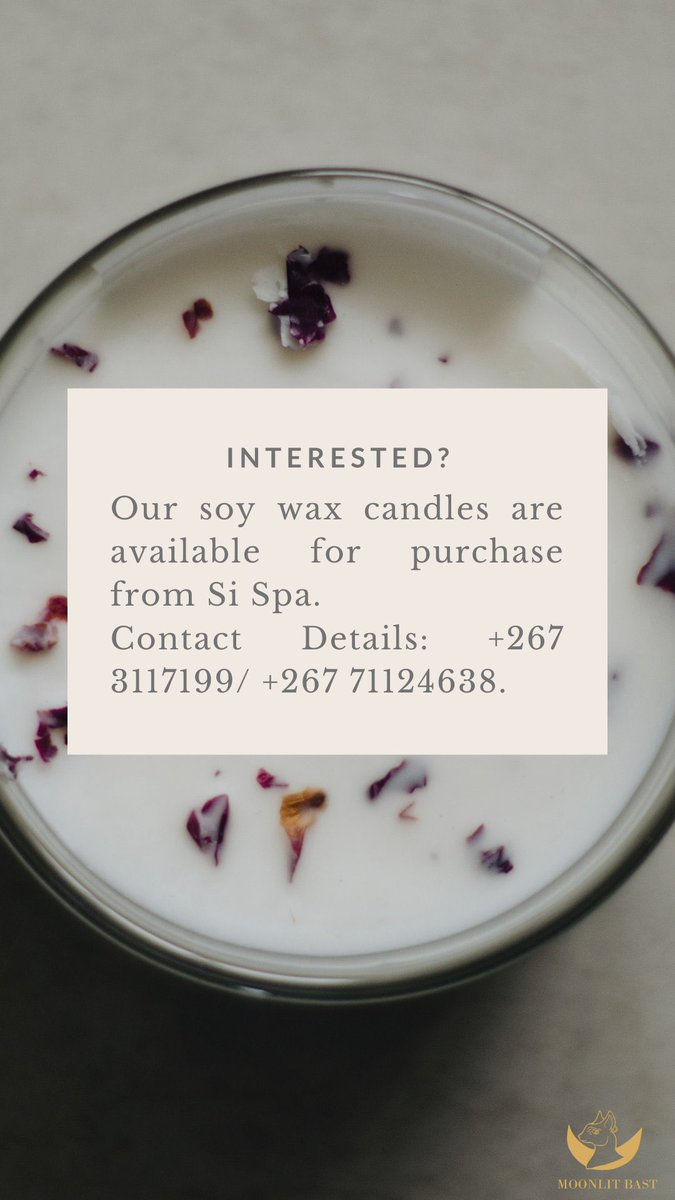 moonlitbast's tweet photo. Soy candle facts 🌙 https://t.co/LJ2LQv4Nid