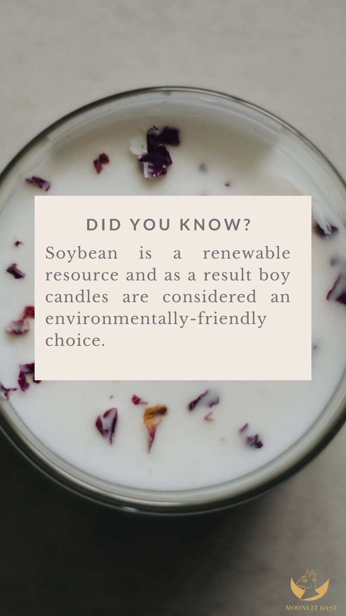 moonlitbast's tweet photo. Soy candle facts 🌙 https://t.co/LJ2LQv4Nid