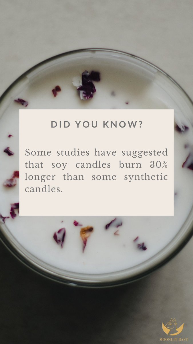 moonlitbast's tweet photo. Soy candle facts 🌙 https://t.co/LJ2LQv4Nid