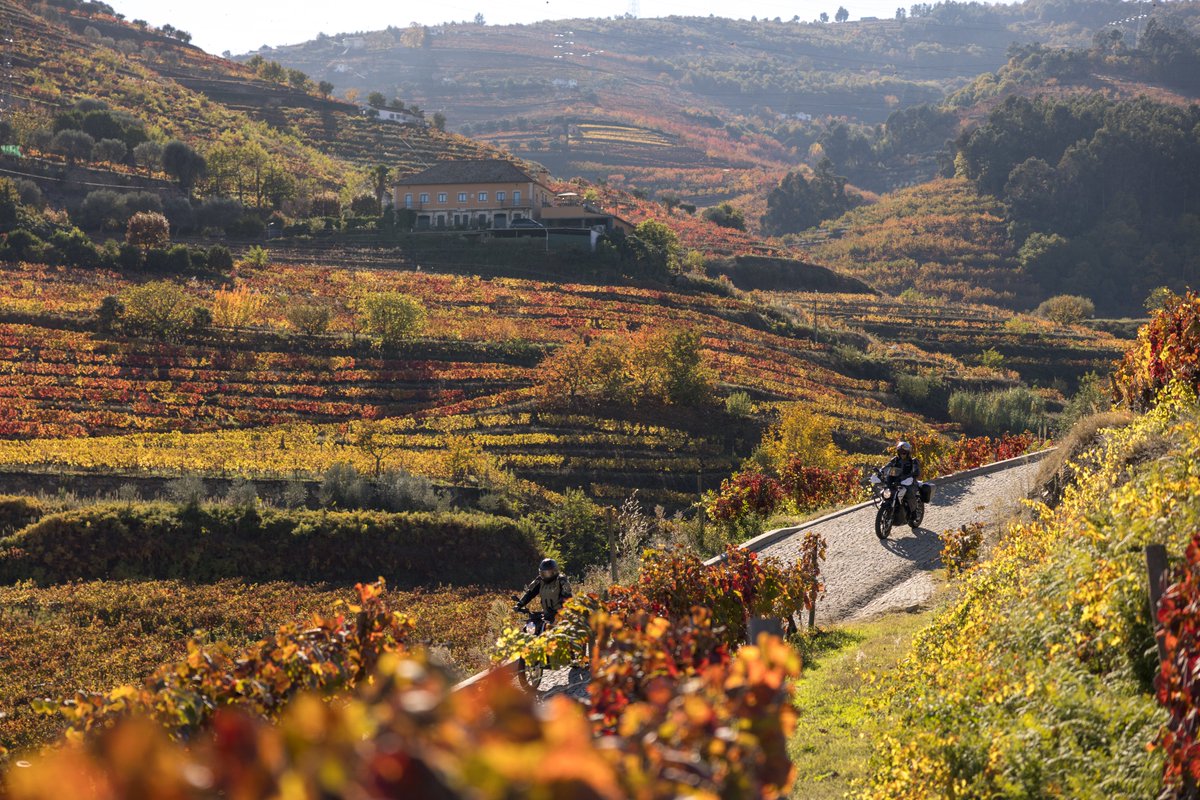visitportugal's tweet photo. Our tour #Rout_e to the region Porto and North of #Portugal is already on the road. Here are some pics from the tourist, cultural and historical landmarks they have been visiting๐ #visitportoandnorth #VisitPortugal https://t.co/1c088TkyM9