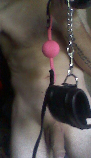 Versaute scharfe Sub's gesucht