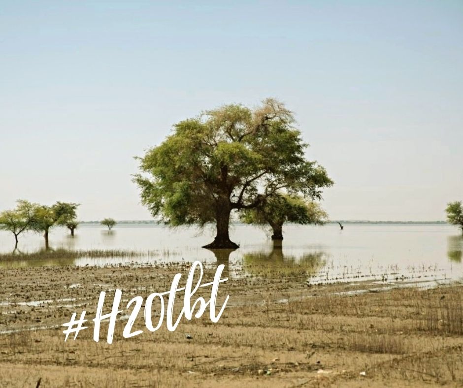 H2Ojournalists's tweet photo. #H20throwback #WJA21
Reminisce with us! Which story could this picture have come from? This shouldn't be a guessing game...head over to our website https://t.co/G7B0N0ycsA and find it, then show up hear and hit us in the comment section ππ below
#flooding #southsudan https://t.co/3WkZOtOdcg