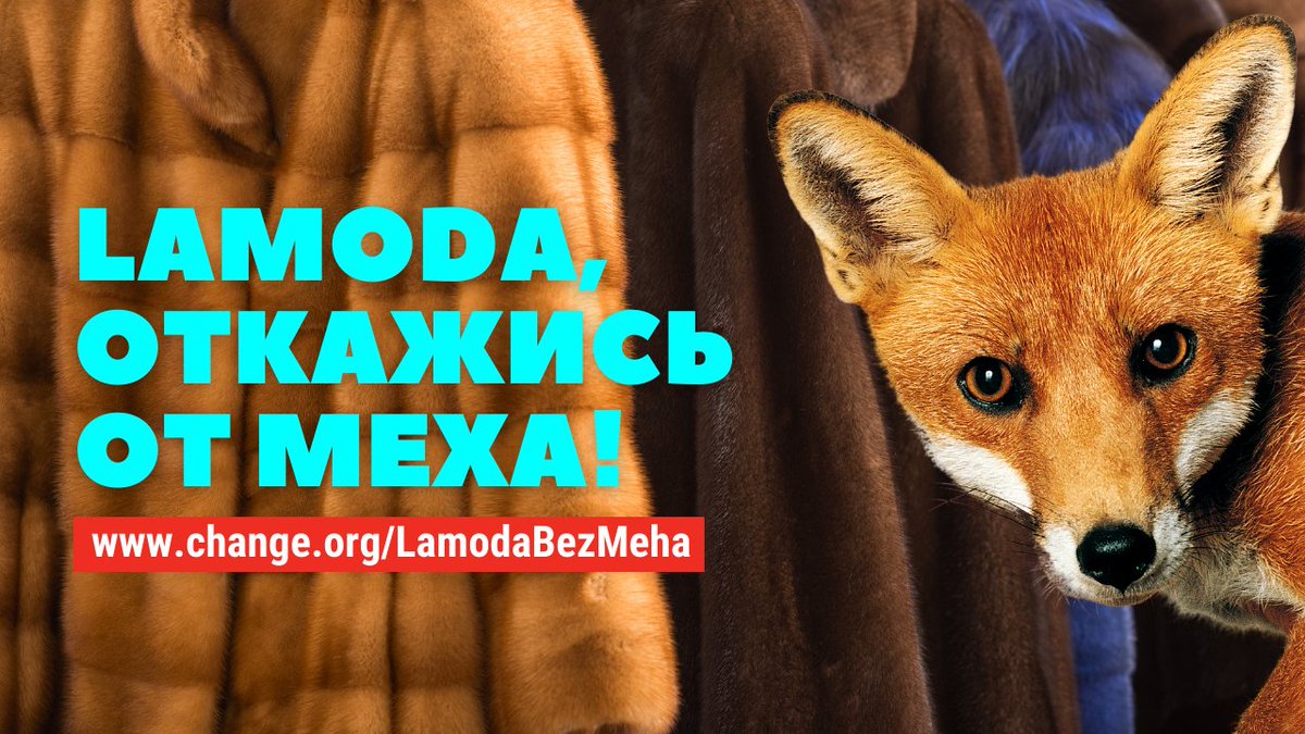 Для одной меховой шубы нужно убить несколько десятков зверьков. Модные дома и магазины по всему миру отказываются поддерживать это жестокое производство.

Убедим крупнейший интернет-магазин в России <a href="/lamoda_rus/">lamoda</a> сделать то же самое? Подпишите петицию ✍️ chng.it/v6kbksBV