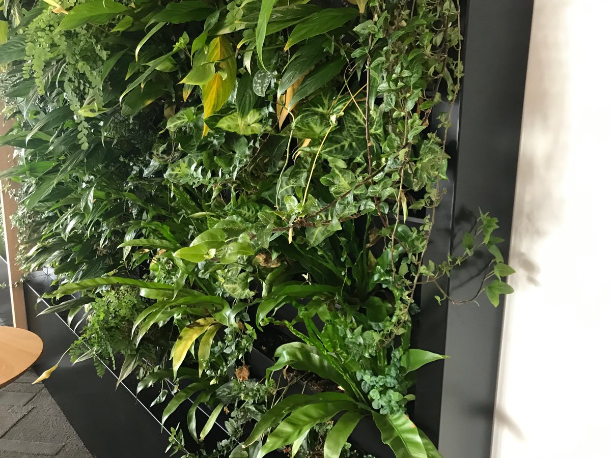 Lancaster University Library tweet media