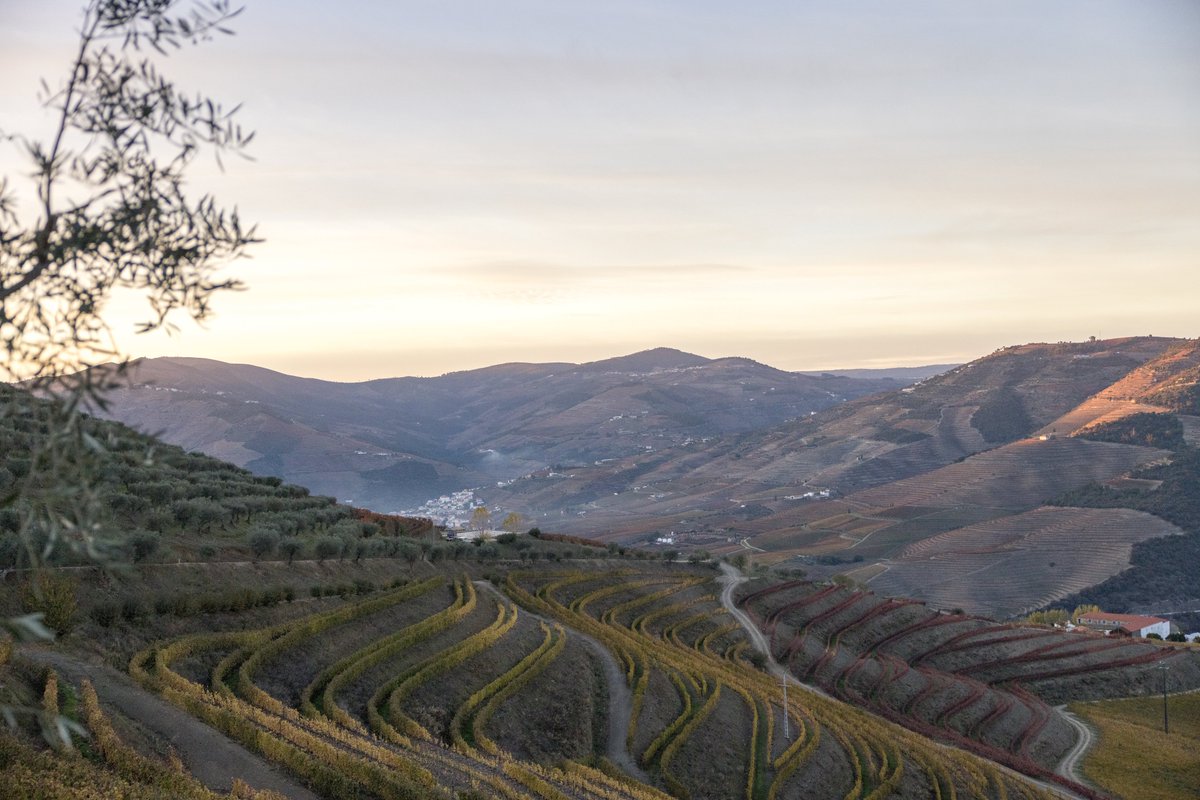 visitportugal's tweet photo. Our tour #Rout_e to the region Porto and North of #Portugal is already on the road. Here are some pics from the tourist, cultural and historical landmarks they have been visiting๐ #visitportoandnorth #VisitPortugal https://t.co/1c088TkyM9