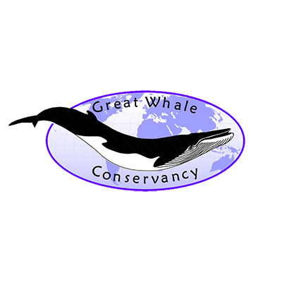 Well done <a href="/gwcwhale/">GreatWhaleConservancy</a>!

They recently mapped proposals to separate ships and whales in and around various regions, they
continued their research in California on blue whales, and have been producing a film! 

Make your #crypto matter lets #SaveTheWhales 

 wildcards.world/#org/greatwhal…