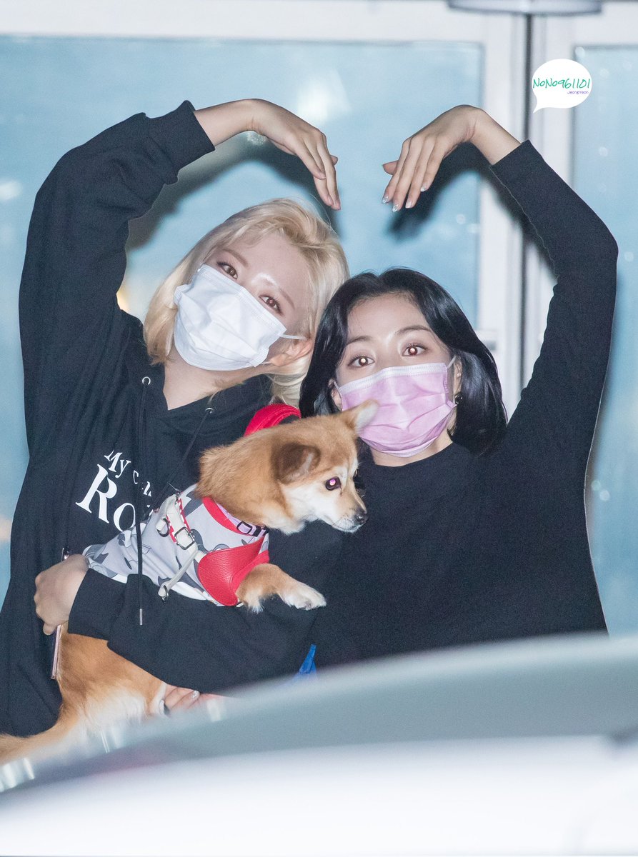 JY961101twice's tweet photo. 211116 NAVER Now.🍭🍭🍭
#TWICE #JEONGYEON 
#트와이스 #정연   #JIHYO  #지효  
#FormulaOfLove 
#SCIENTIST https://t.co/c0KJ77YhI3