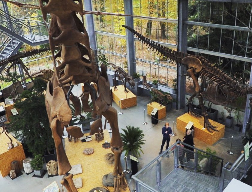 DinoCastNL's tweet photo. Nietig, voelen Maarten van Rossem en @gijsrademaker zich, naast de Brachiosaurus (links, zijn kop paste niet meer op de foto!) in het @Oertijdmuseum, waar we deze week opnames maken voor @DinoCastNL seizoen 2. Over oa gigantische langnekken en velociraptors 🤩👍🏻@maartenpodcast https://t.co/9KzkJxvdkT