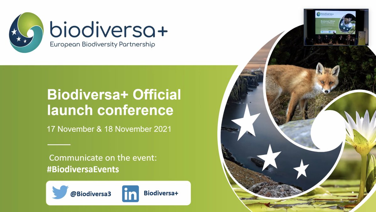 BiodiversaPlus's tweet photo. ๐ฌ It's a wrap to #BiodiversaEvents! THANK YOU to those who attended in person & online, the speakers, the organisers and everyone who submitted their questions.
We are thrilled to start this new adventure and to collaborate to foster transformative change in #biodiversity๐๐๐ https://t.co/DMevsZRKNF