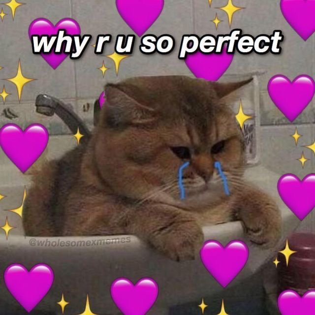 cute sam memes 💌 (@cutesamwin) on Twitter photo 