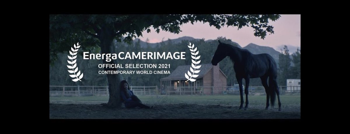 Screening TODAY 15:00 <a href="/CamerimageFest/">EnergaCAMERIMAGE</a> #CinemaCity #BLACKBEAUTY with #cinematography by #DavidProcter ✌🏼directed by <a href="/ashleyavis/">Ashley Avis</a> Official Selection #Contemporary #WorldCinema 💥 #wizzotalent <a href="/DavidProcterDOP/">David Procter BSC</a>
