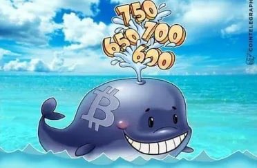 GuidiDg's tweet photo. In the next 48 hours, will Bitcoin break through 30,000 and accelerate downward?#Bitcoin #cryptocurrency https://t.co/xxm5ALVgdk