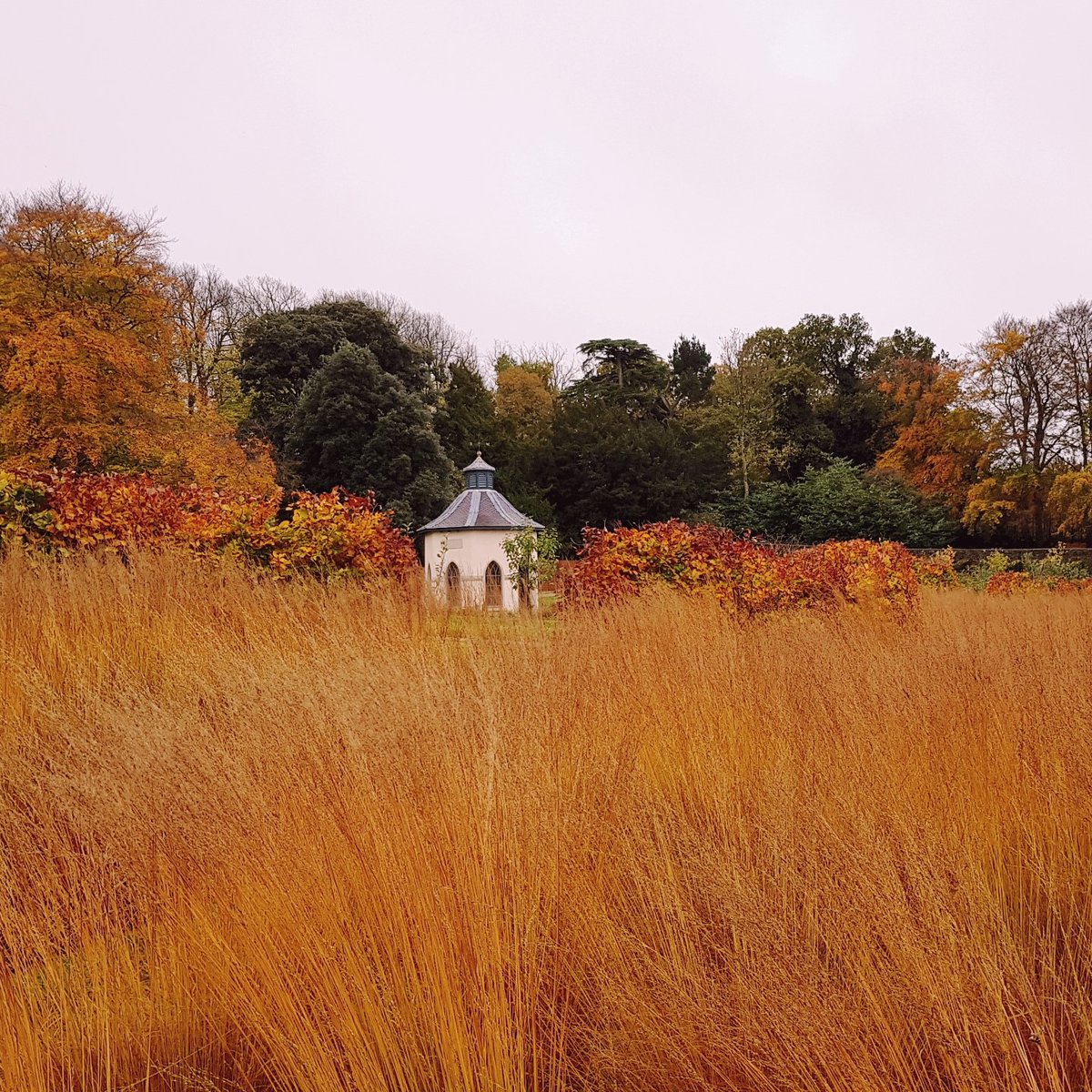 Hillsborough Castle and Gardens tweet media