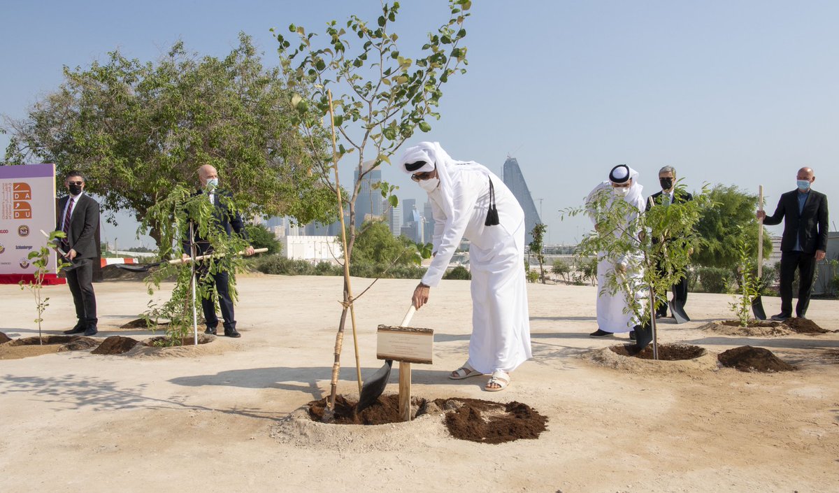 TamimBinHamad's tweet photo. شاركت اليوم بغرس شجرة السدرة إيذاناً بإطلاق مشروع حديقة متحف الأطفال "دَدُ"، وهي الشجرة الـ600 ألف ضمن مبادرة #زراعة_مليون_شجرة في قطر. وكالشجر الصغير الذي يشتد بالرعاية عوده، تهدف مبادراتنا لتكوين بيئة تحافظ على قيمنا القطرية والعربية وتغرس في أطفالنا روح الأصالة والصبر والعطاء. https://t.co/CRiP2dQMt8