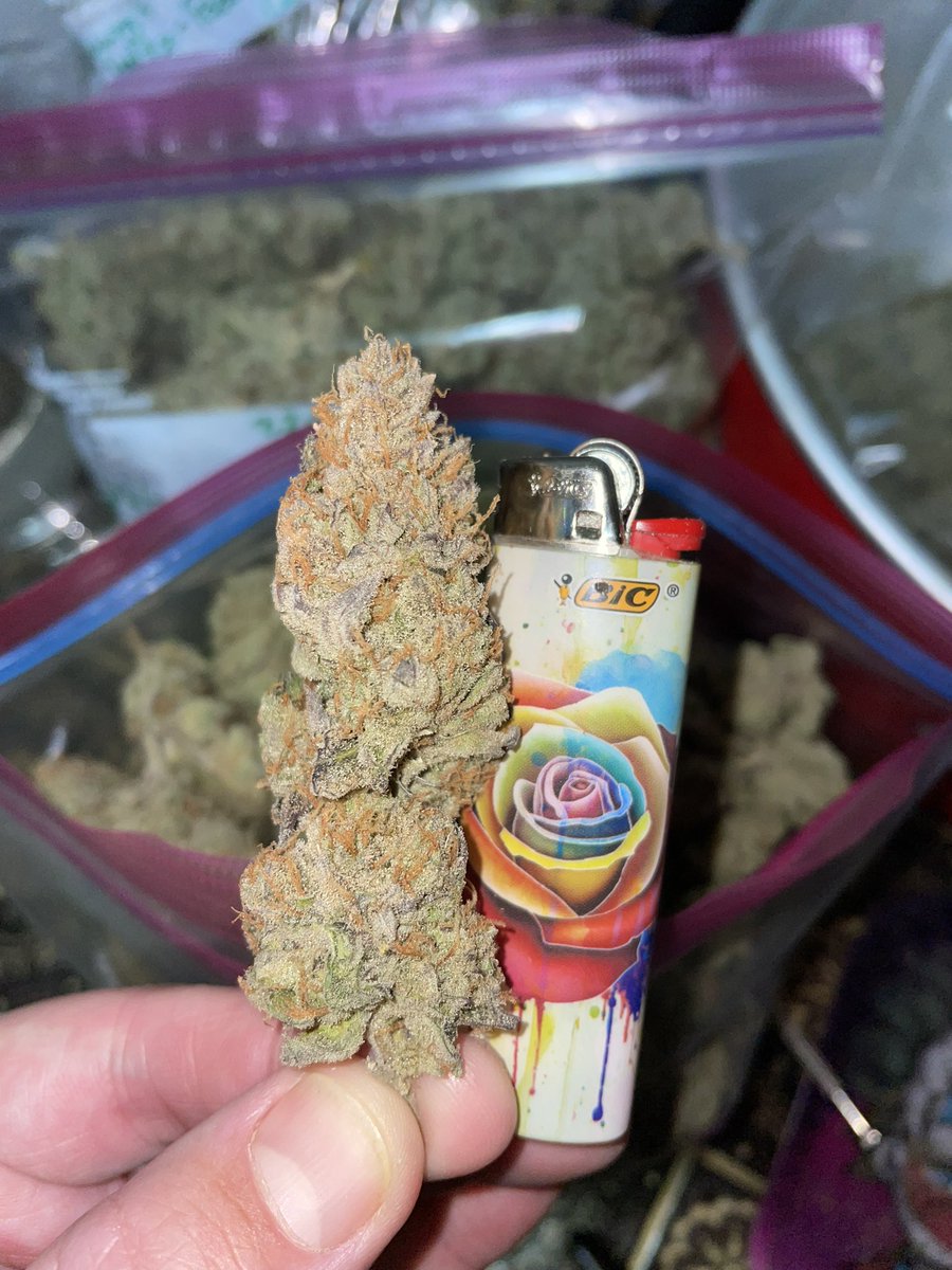 chief420247's tweet photo. The #jackscleaner turned out awesome. Big ole frosty #nugs and this will get your #titsjacked. These morning speedy, weedy, #meds go great with that #pot of coffee π€·πΌββοΈπ€£ππ€ͺππ¨π¨π¨π¨π¨π¨π¨ https://t.co/tPTGthpap9
