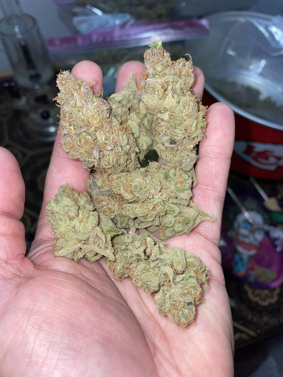 chief420247's tweet photo. The #jackscleaner turned out awesome. Big ole frosty #nugs and this will get your #titsjacked. These morning speedy, weedy, #meds go great with that #pot of coffee π€·πΌββοΈπ€£ππ€ͺππ¨π¨π¨π¨π¨π¨π¨ https://t.co/tPTGthpap9