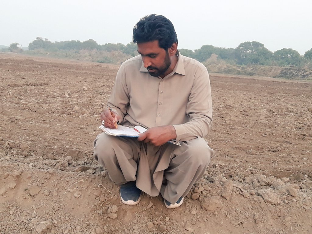 Ajchandiio's tweet photo. Sowing of different Wheat trials of @CIMMYT at Barley and Wheat Research Institute, Tandojam, Sindh, Pakistan.
My energetic labourers in 1st picture.
#WheatSeason21_22
#Teamwork
@AlisonRBentley https://t.co/qL0BsVaLyX