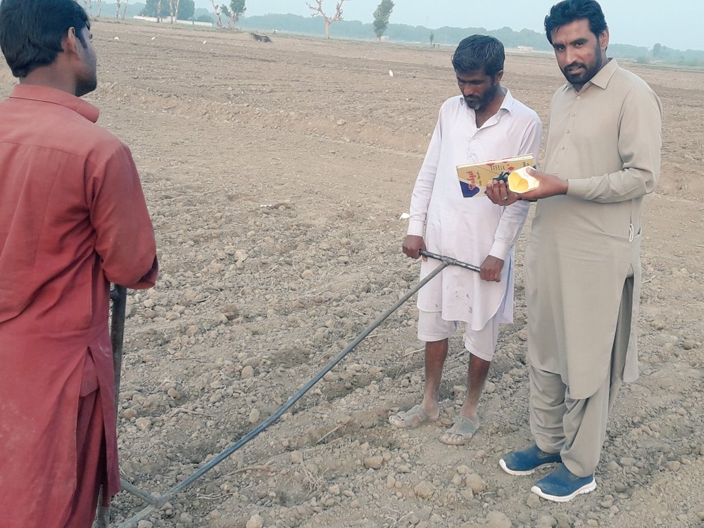 Ajchandiio's tweet photo. Sowing of different Wheat trials of @CIMMYT at Barley and Wheat Research Institute, Tandojam, Sindh, Pakistan.
My energetic labourers in 1st picture.
#WheatSeason21_22
#Teamwork
@AlisonRBentley https://t.co/qL0BsVaLyX