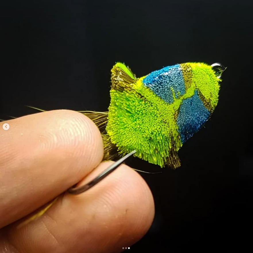 FarmsWhiting's tweet photo. Great Diver 
tied by @theflyperspective
< Diver Down >
.
.
#theflyperspective #flylifecompany #flylifenation #ahrexhooks #harelinedubbin #anadromousflycompany #semperfliflytying #solarez #whitingfarms #peakfishing r #dahlbergdiver #deerhair #topwaterfly #bassfly https://t.co/QTDJwYif8b