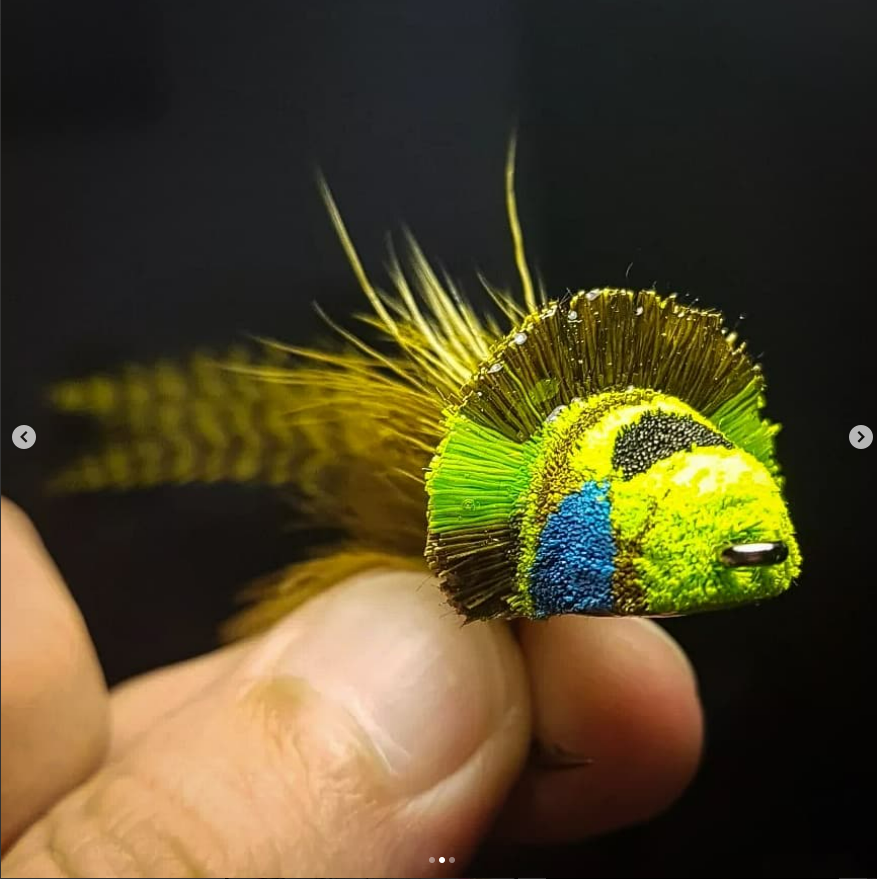 FarmsWhiting's tweet photo. Great Diver 
tied by @theflyperspective
< Diver Down >
.
.
#theflyperspective #flylifecompany #flylifenation #ahrexhooks #harelinedubbin #anadromousflycompany #semperfliflytying #solarez #whitingfarms #peakfishing r #dahlbergdiver #deerhair #topwaterfly #bassfly https://t.co/QTDJwYif8b