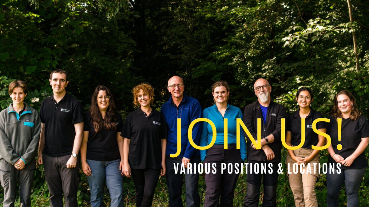 wildwoodecology's tweet photo. Various new positions up for grabs at Wildwood. Worth a peek πif you're after something different. #wildlydifferent #ecology #vacancy
https://t.co/UBAN2X81BK https://t.co/PCDMjQJWrs