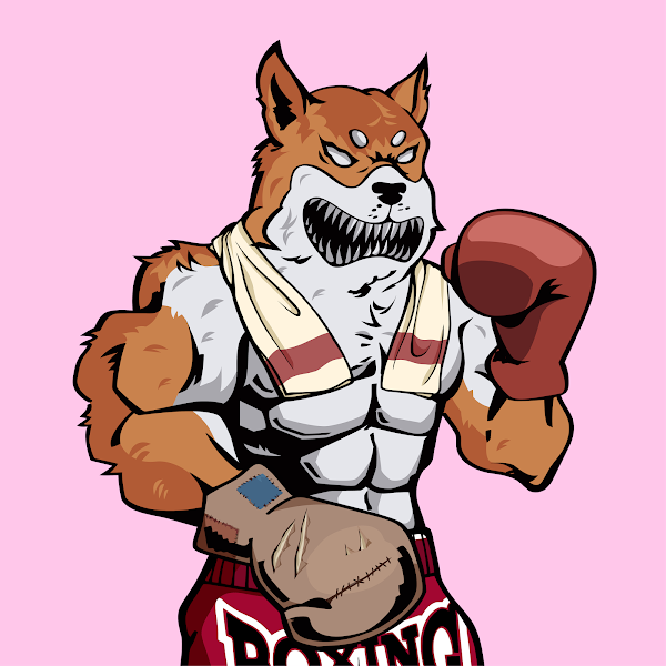 NicolasKirschb1's tweet photo. @fight_doge #WeAreDFC https://t.co/3Vdl9dDLiu