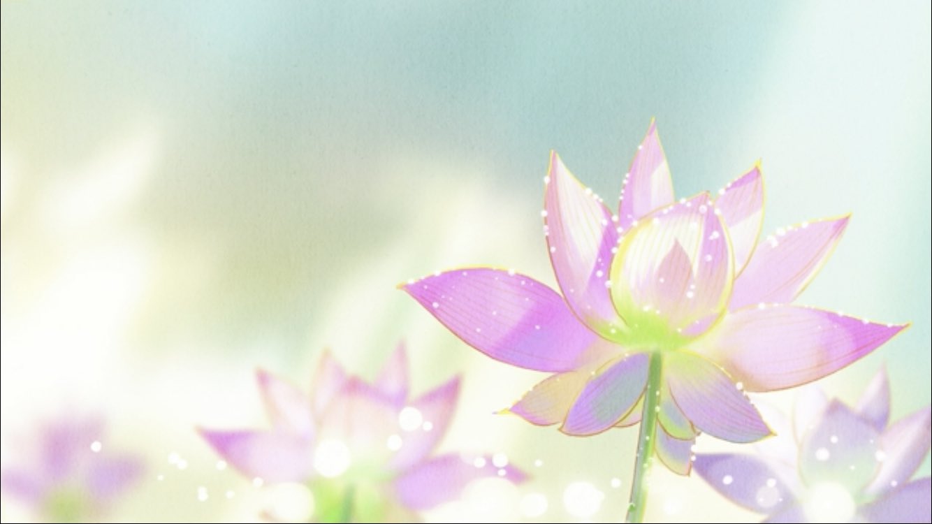 Tsun 平家物語 10話 花言葉 2 4 シダレヤナギ わが胸の悲しみ 悲哀 アサガオ 愛情 結束 固い絆 ハス 清らかな心 神聖 ヤマザクラ あなたに微笑む 美麗 T Co Xoo94tj3an Twitter