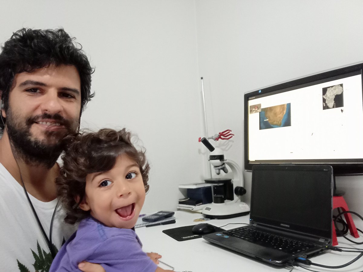 daniel sousa tweet media