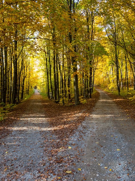 MidlandsDSN's tweet photo. Is better #DecisionMaking a neglected route to improving outcomes?

“We pay strangely little attention to the practice of decision making. It determines so much, yet we focus on it so little”

New blog by Fraser Battye @Strategy_Unit @MLCSU

https://t.co/P6wkM9pAtx https://t.co/ghmM2a6EEn