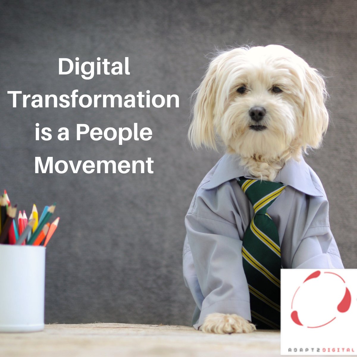 Adapt2Digital's tweet photo. Digital Transformation is a People Movement.
The mindset and behavior of the leaders responsible for visioning, guiding and enabling a brighter future needs to be established.
https://t.co/S7nQVIWh1C
#Adapt2Digital #technology #digitaltransformation #thursdaythoughts #leaders https://t.co/dqhsa2W6L8